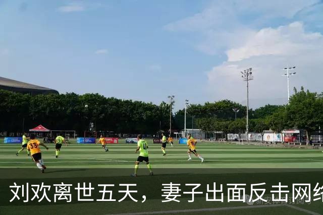 刘欢离世五天，妻子出面反击网络谣言的戏剧性一幕